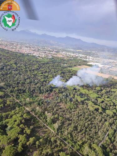 incendio, Viareggio, Pineta di Levante
