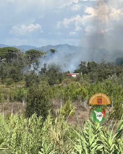 incendio, Viareggio, Pineta di Levante