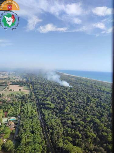 incendio, Viareggio, Pineta di Levante