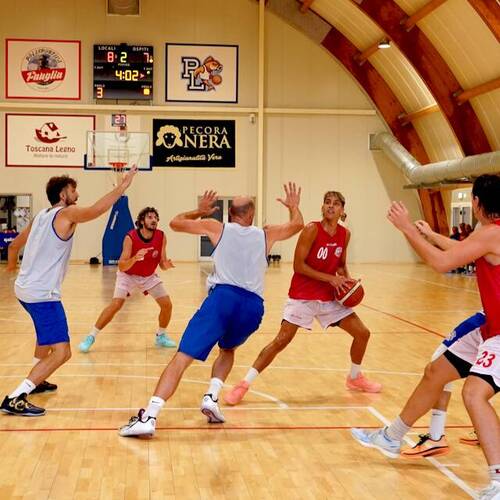 amichevole, Basketball Club Lucca, basket, serie B nazionale