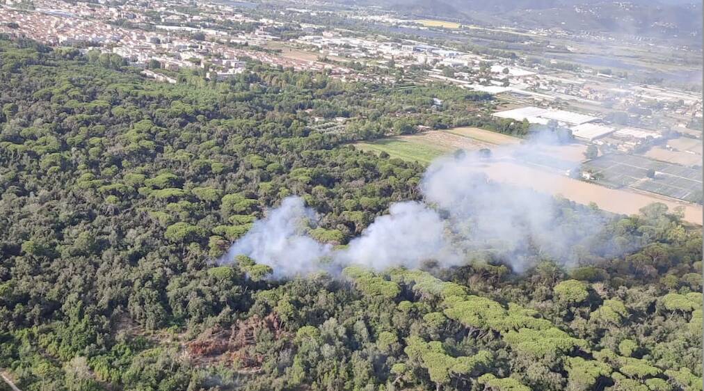 Rogo nella Pineta di Levante, intervengono elicotteri e gruppi di volontari