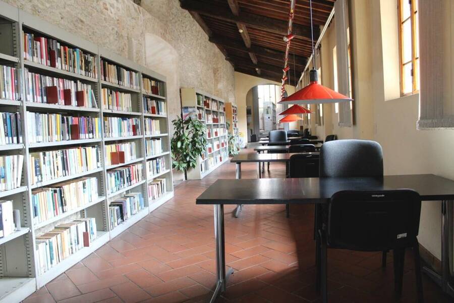 Il benessere mentale si impara in biblioteca