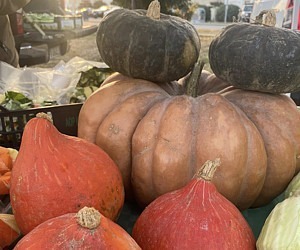 Il Mercatale di Empoli