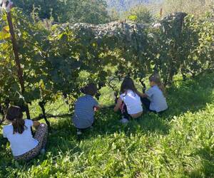 A Bosa la vendemmia si trasferta in un'occasione di formazione per i bambini