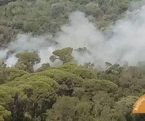 Incendi in Versilia, non solo Villa Borbone. Due elicotteri in azione nella zona di Malbacco
