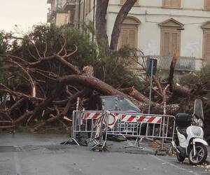 Maltempo a Viareggio, il bilancio è pesante: si lavora per riaprire le strade e mettere in sicurezza alberi ed edifici